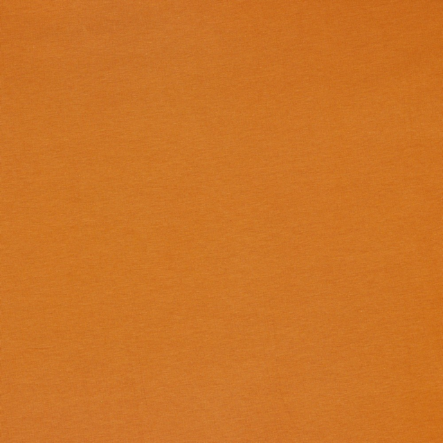 AMBER ØKOLOGISK BOMULDSJERSEY