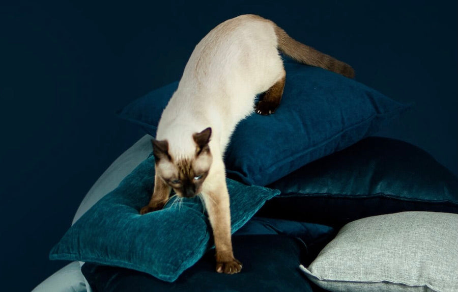 NAVY LET OG SLIDSTÆRK MØBELVELOUR