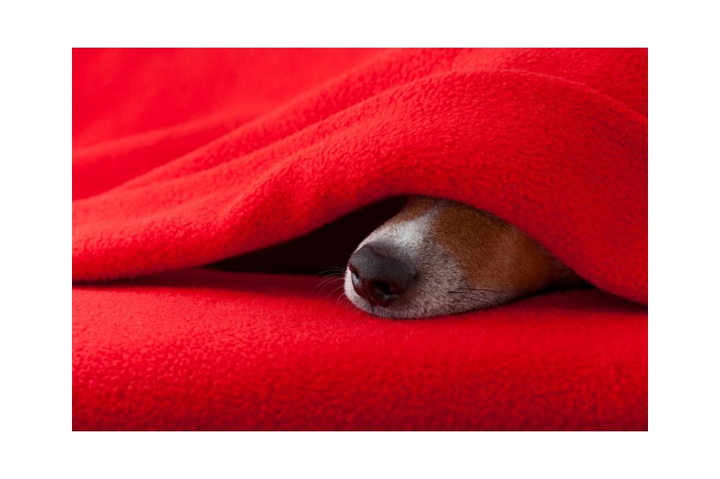 NAVY POLAR FLEECE – ANTI-PILLING, VARM & LET