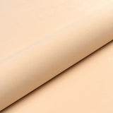 CHAMPAGNEFARVET LET OG SLIDSTÆRK MØBELVELOUR