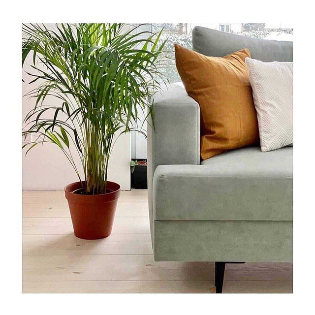 DYB BLOMMEBRUN UTTARIO VELVET MØBELVELOUR – SLIDSTÆRK & PETPROOF